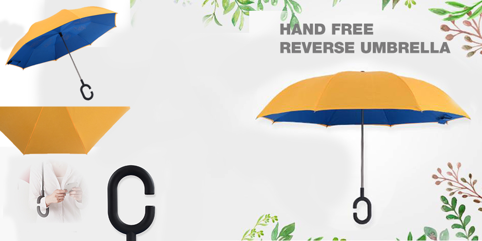 umbrella